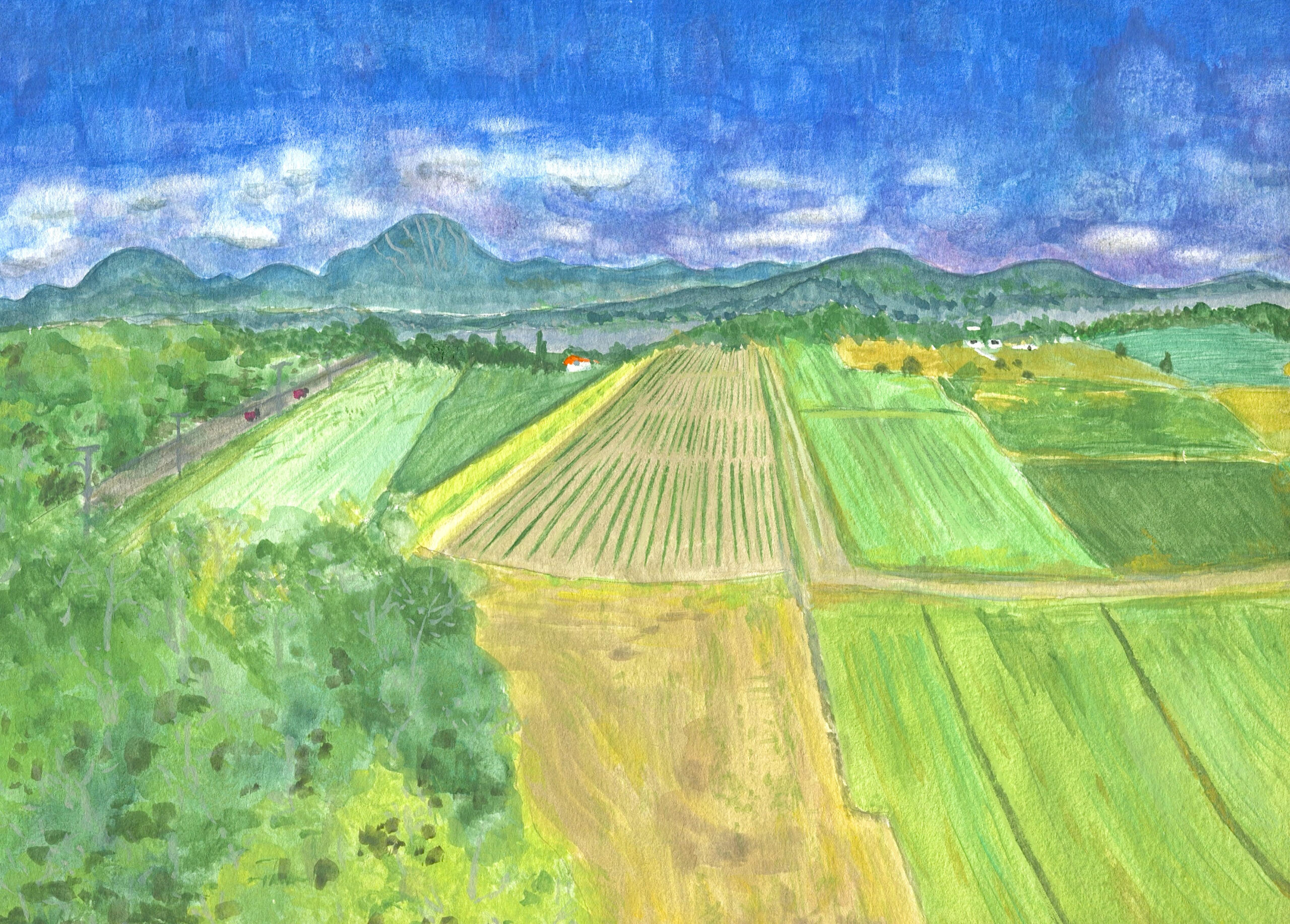 Birdview of a Farm on Tower * Gouache, watercolor; 9"x12" on paper