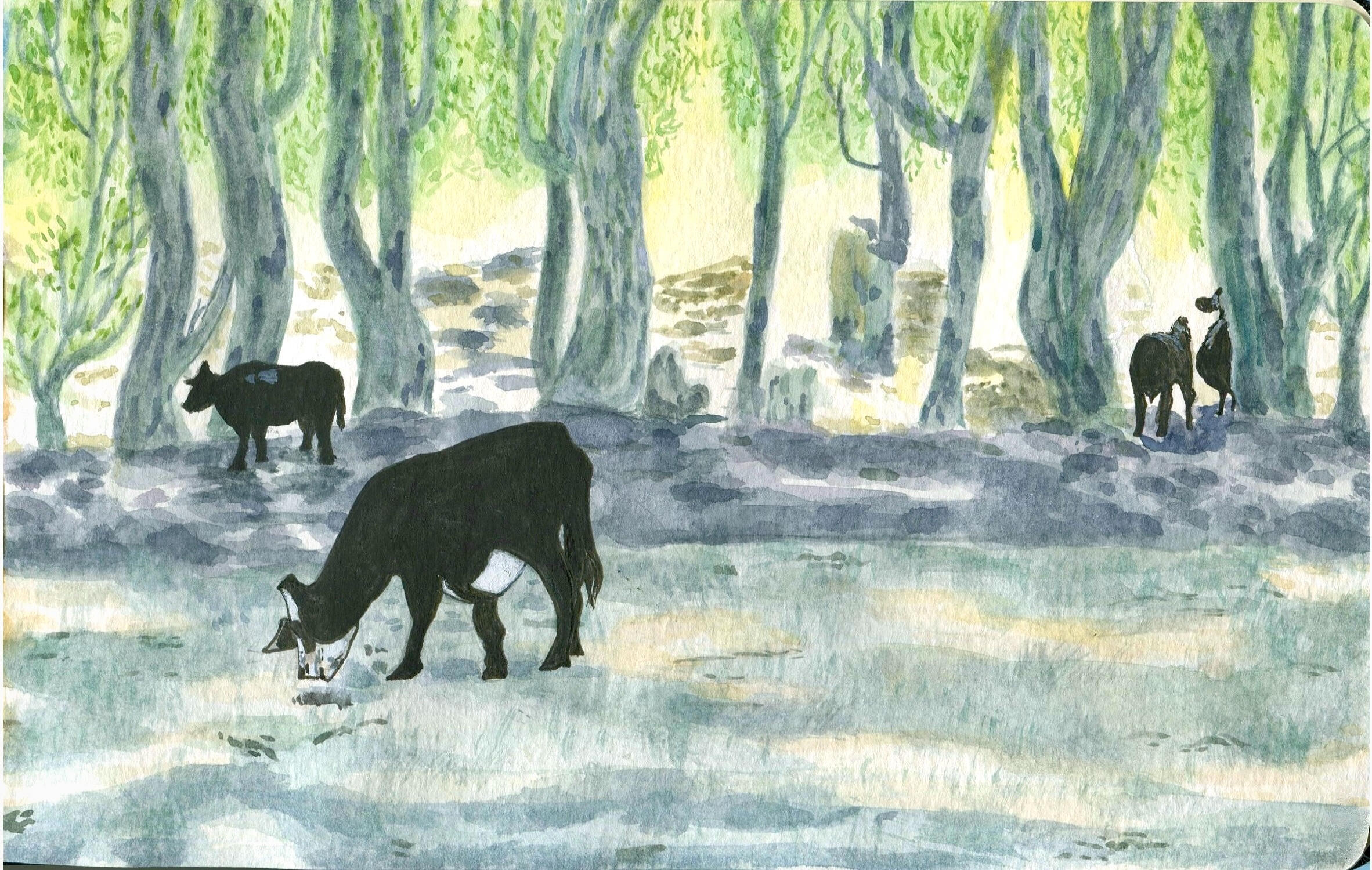 A warm afternoon * Watercolor, ink; 5"x 8" on paper