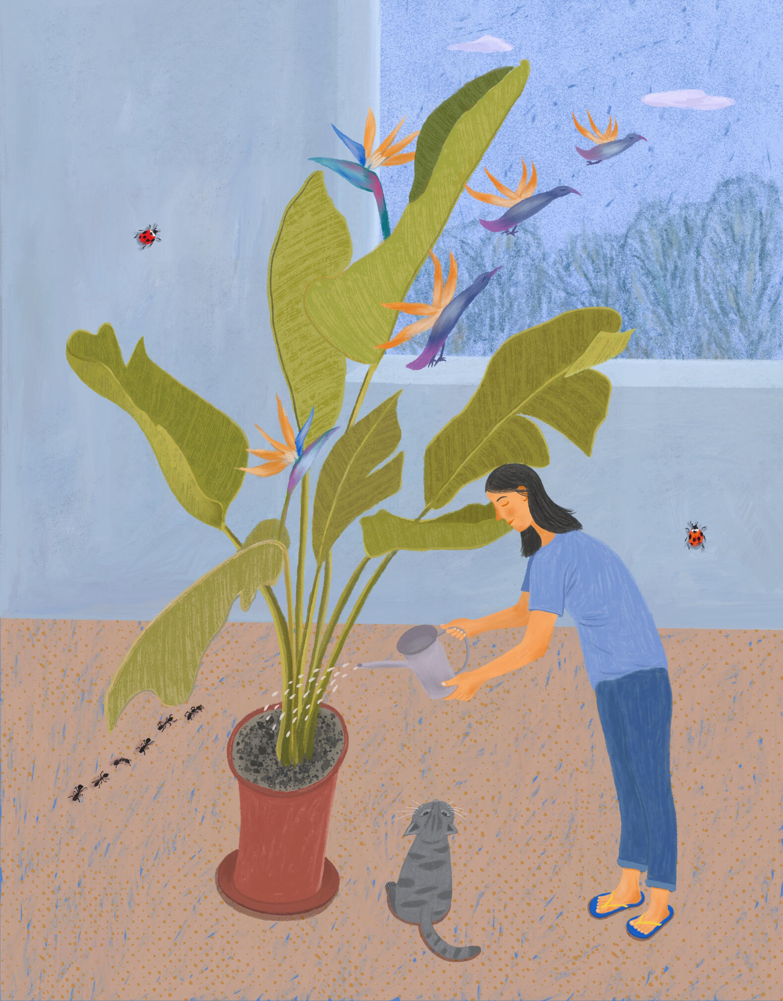 The White Bird of Paradise