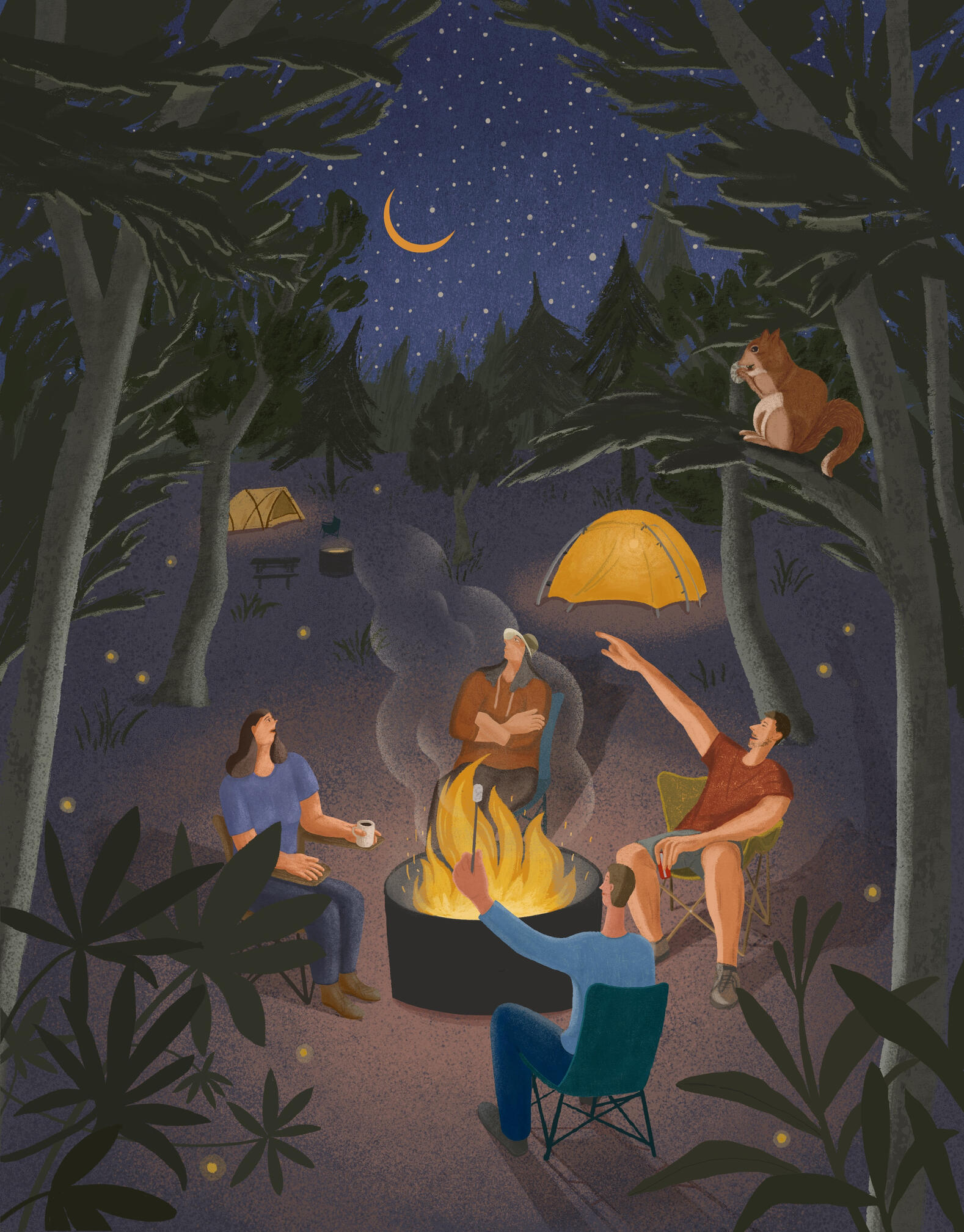 Camping - Night
