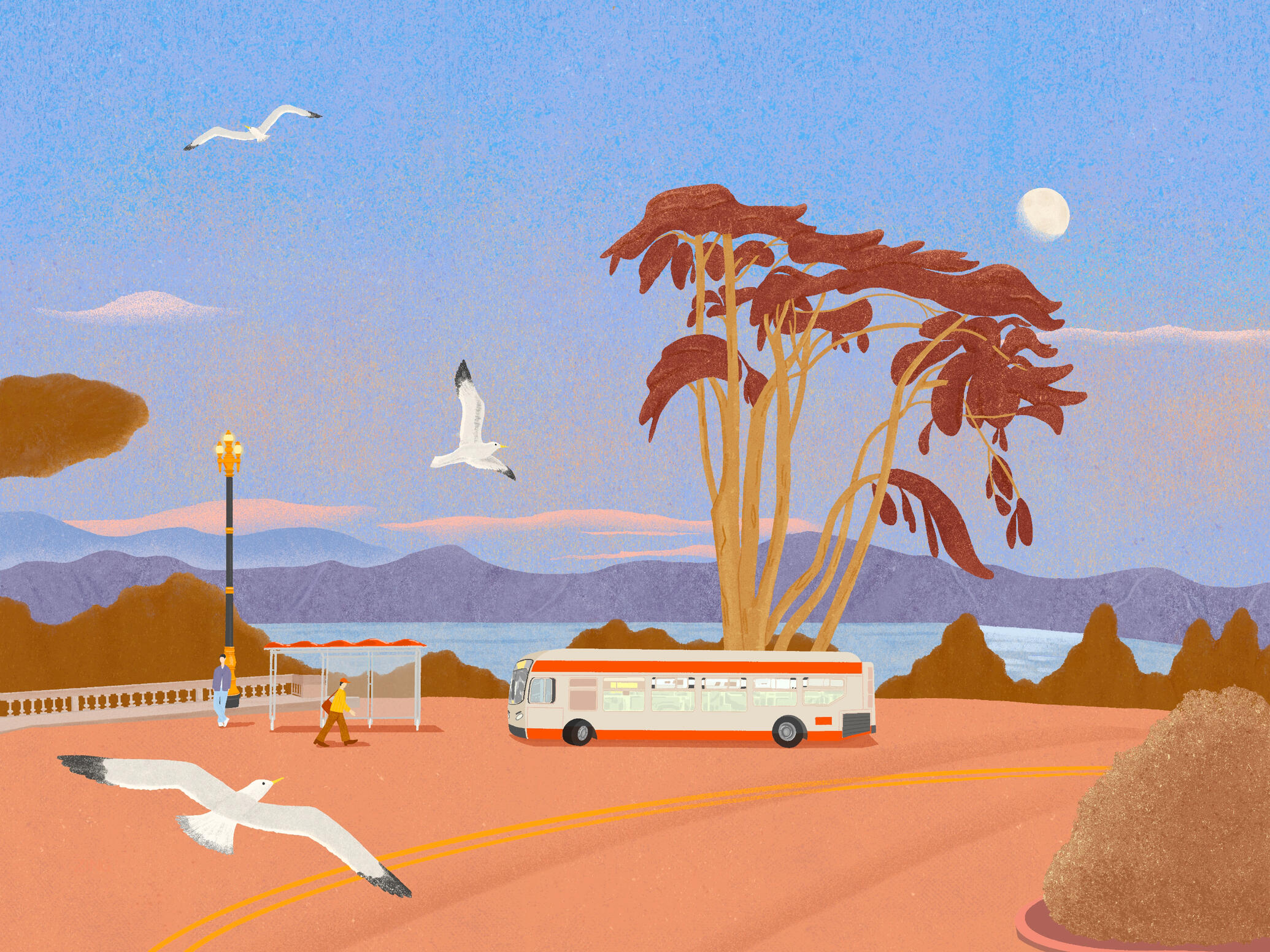 Golden hour over the bay (Narrative)